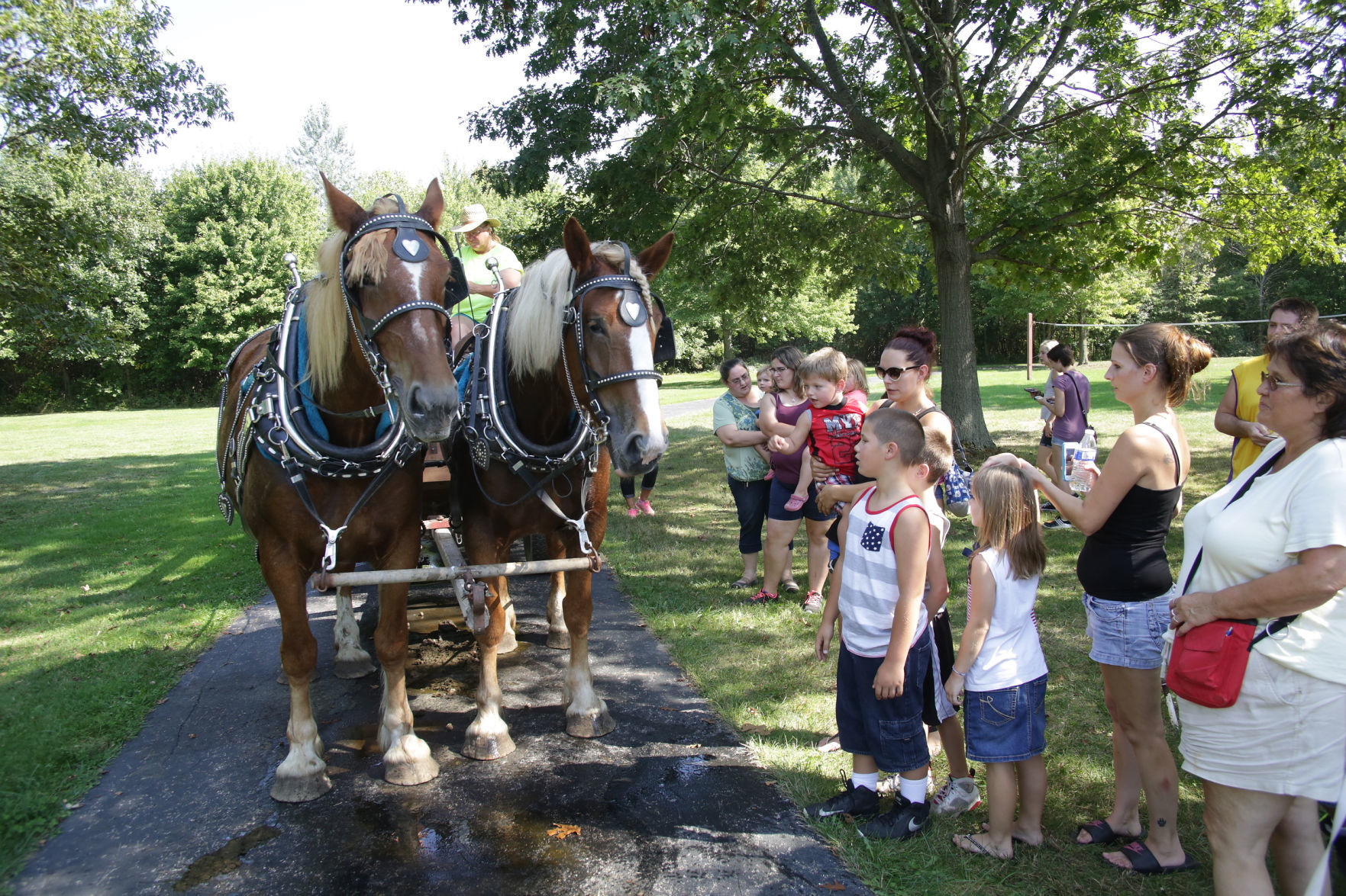 Pioneer Days
